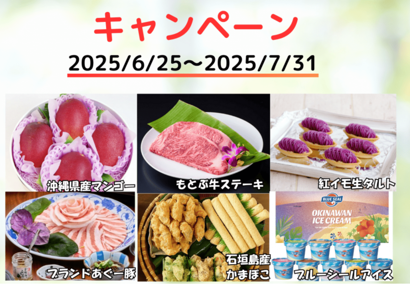 ポケットファンディングのキャンペーン